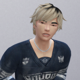 Rhett Leung - DSS project image