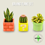 Gaming Plant Set logo