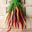 CARROTS772!!!!! logo