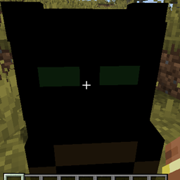 BLACK BEAR project image