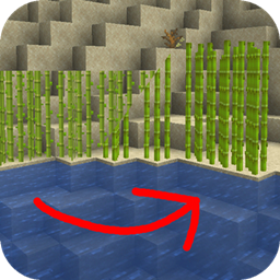 Sugarcane: Fresh Flowers and Plants project image