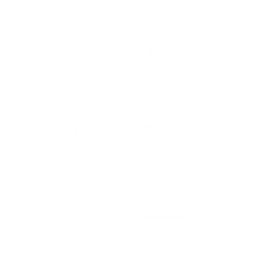 Rotation Timeline Bridge logo