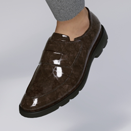 Fancy_Shoes_New_D1F4B01D project image