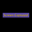 Hide Screenshot Text logo