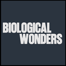 Biological Wonders: A ZAWA Addon project image