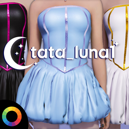 Stellar Corset Dress project image