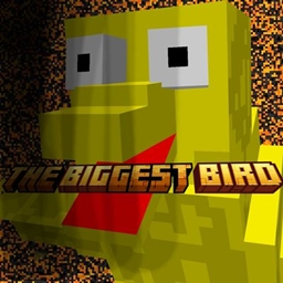 Big Bird project image
