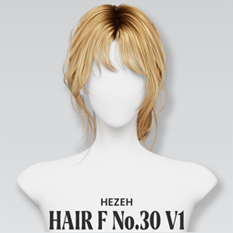 [Hezeh]FHair No.30 V1 project image