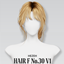 [Hezeh]FHair No.30 V1 logo