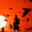 Itachi Animated Ui logo