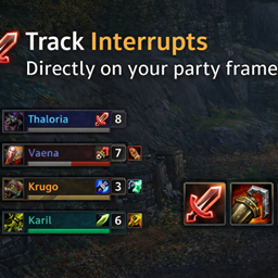 InterruptTrack - Party Cooldown & Interrupt Tracker project image