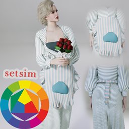 Setsim apron #3 logo