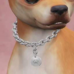 Bruiser Dog Chain logo