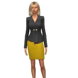 Chic Skirt project image