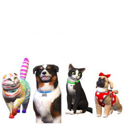 No More Running Away! project image