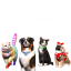 No More Running Away! logo