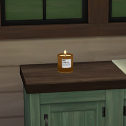 THE CANDLE - scented mood booster candle - Traduction FR logo