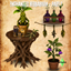 Enchanted Herbarium - Part  1 logo