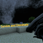 Survive and Dominate logo