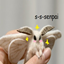 Bugcraft logo