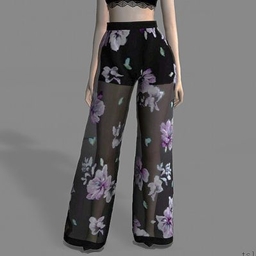 👖Pizzazz👖 Transparent pants by tslok logo