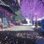 Animated Menu: Sakura Street logo