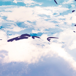 Skyward Dreams project image