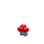 Sporebound Wilds logo