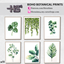 Boho botanical prints - set logo