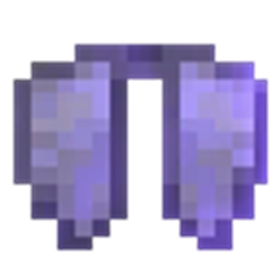 Elytra Drag New