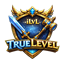 TrueLevel — Clean Item Level Tracking logo