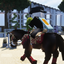 Swem Sever 2.0 logo