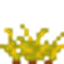 visual crops logo