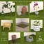 SG_POTS AND PLANTS SET logo