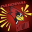 The Redbird Coop logo