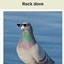 wikipigeons special silly pack logo