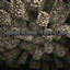 Wonderland_Tapes.jar logo