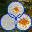 Controlled Burn logo