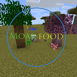 MoarFood project image