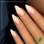 Shimmer Bridal Nails logo