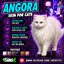 Angora skin by Jochi logo