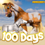 Pinehaven's 100 Days Desert Horse Rescue logo