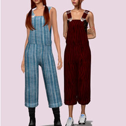 Dungarees Denim project image