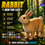 Rabbit skin by Jochi logo