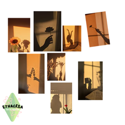 Sunset Shadows Posters project image