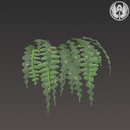 🌿 Serenith Bath - Organic Hanging Fern logo