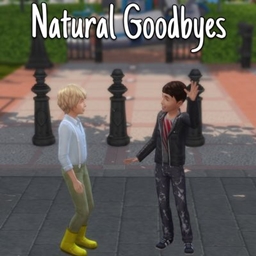 Natural Goodbyes project image