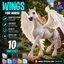 Pegaso wings by jochi logo