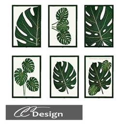 Monstera Leaves logo