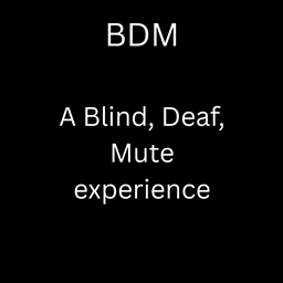 BDM ( A Blind, Deaf, Mute, experience.) project image